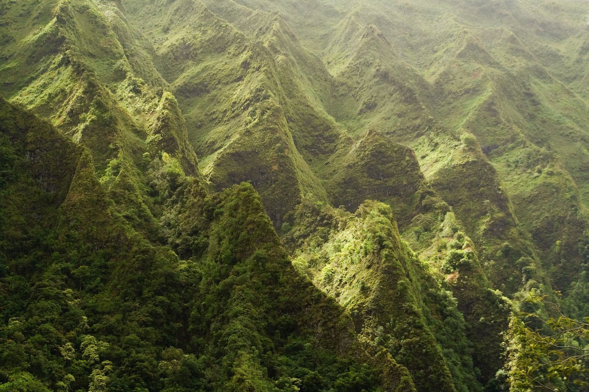 A mountainous landscape with lush, green vegetation.