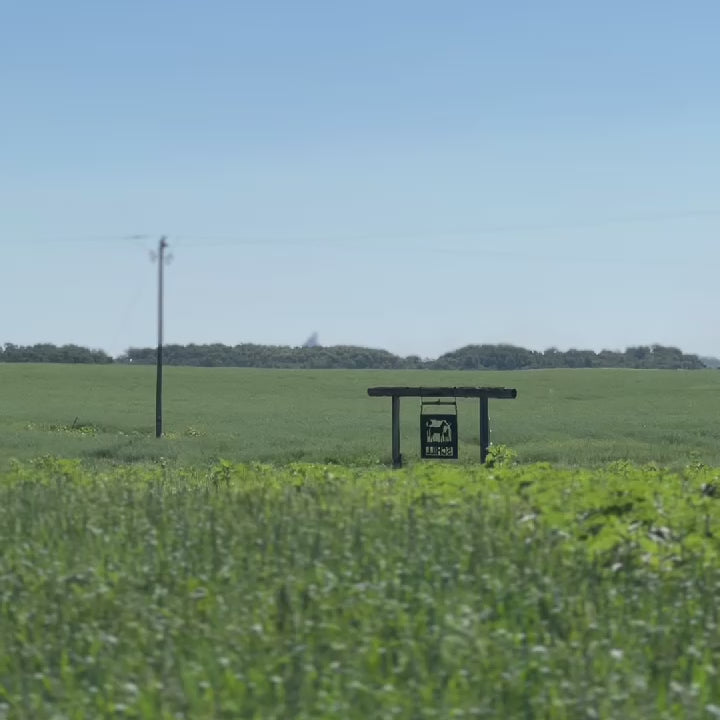 A green field of lush grass and a serene landscape stretching into the distance.